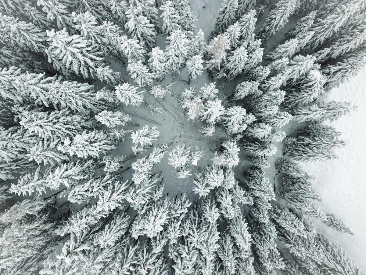 Hotel Sonnenhalde, Arosa Dış mekan fotoğraf