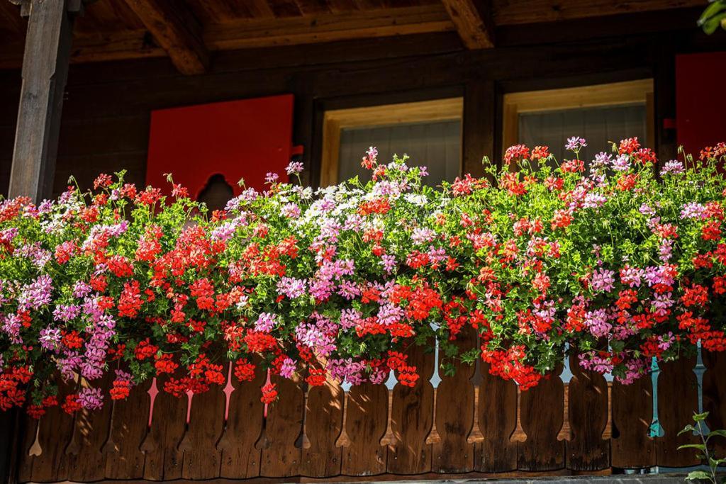 Hotel Sonnenhalde, Arosa Dış mekan fotoğraf