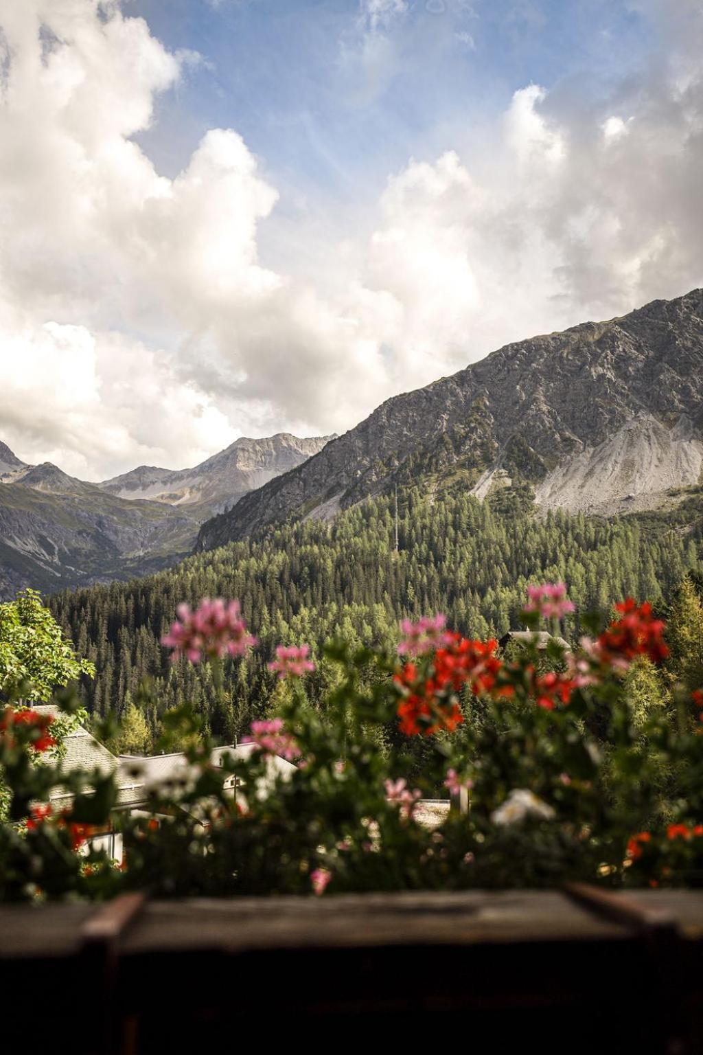 Hotel Sonnenhalde, Arosa Dış mekan fotoğraf